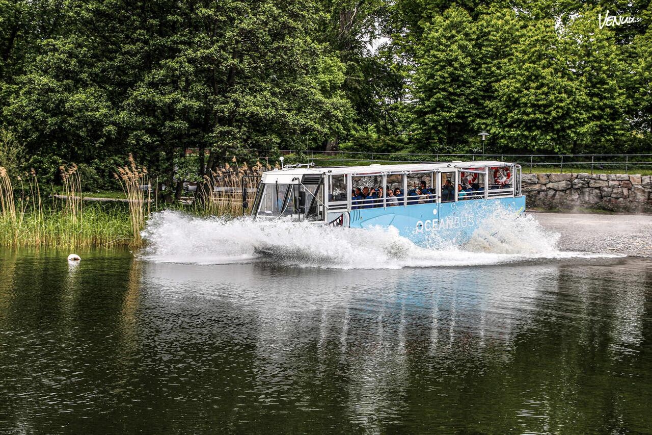 Ocean Bus